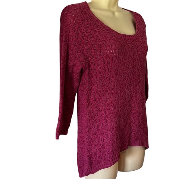 Catch My I Raspberry Pullover Knit Sweater NWT Woman Size Medium - Picture 2 of 8